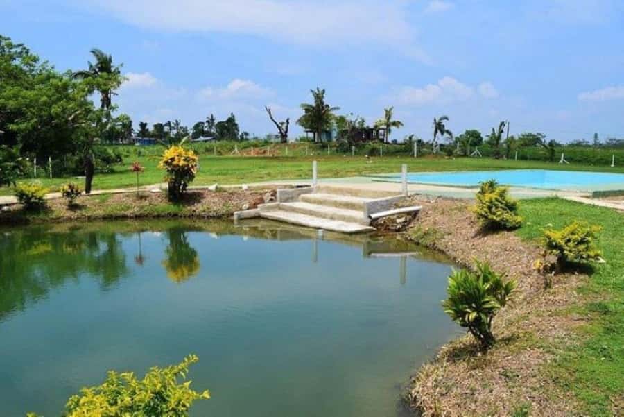 Nadi: Mud Pool and Hot Spring Private Tour - Timing your visit and preparing for the pools