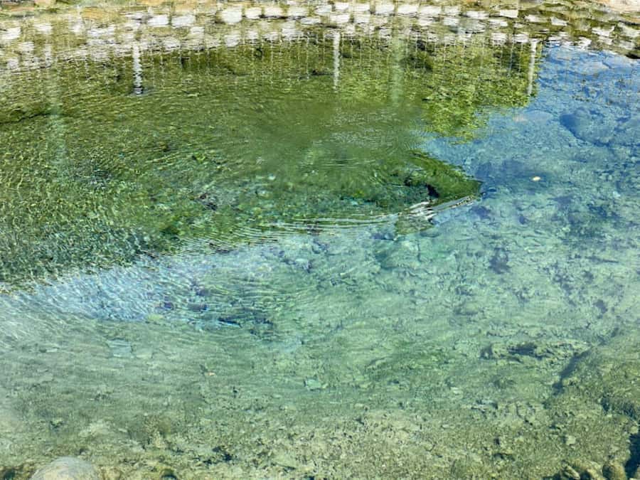 Nadi: Mud Pool and Hot Spring Private Tour - Who will enjoy this tour most