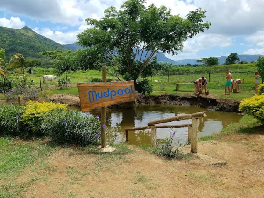 Nadi: Mud Pool and Hot Spring Private Tour - The main drawbacks to keep in mind