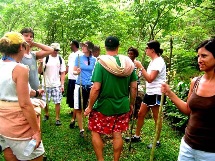 NADI: Nalesutale Village Half Day Tour - A village visit with a waterfall at its heart