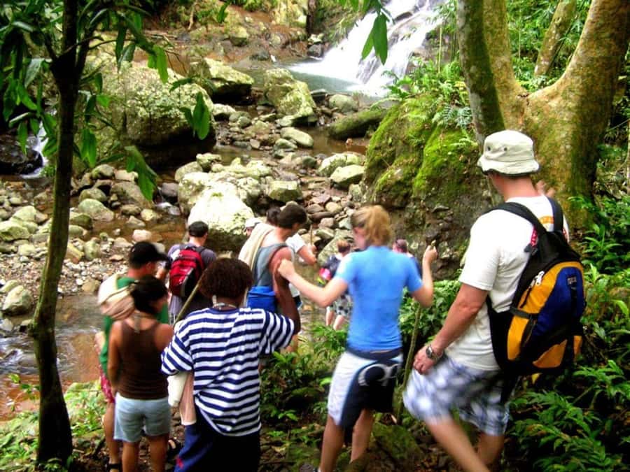 NADI: Nalesutale Village Half Day Tour - The 4WD ride toward Mount Batilamu
