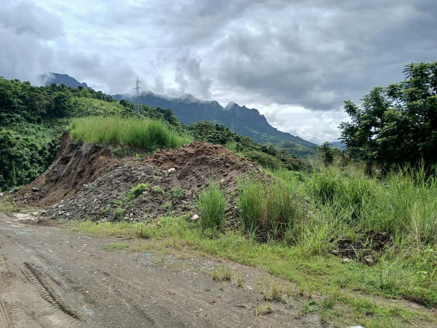 NADI: Nalesutale Village Half Day Tour - A rainforest walk with useful plant knowledge