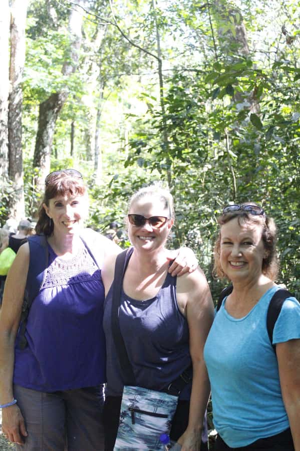 NADI: Nalesutale Village Half Day Tour - Bird watching and small details in the forest