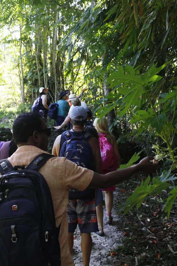 NADI: Nalesutale Village Half Day Tour - Who will enjoy this half-day tour