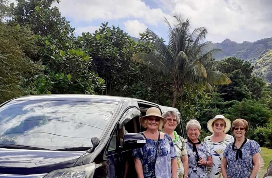 Nadi: Private Tour with Temple, Garden, Markets & Mud Pools - Why the private format matters