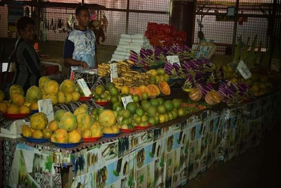 Nadi: Private Tour with Temple, Garden, Markets & Mud Pools - Hotel transfers from Nadi and Denarau