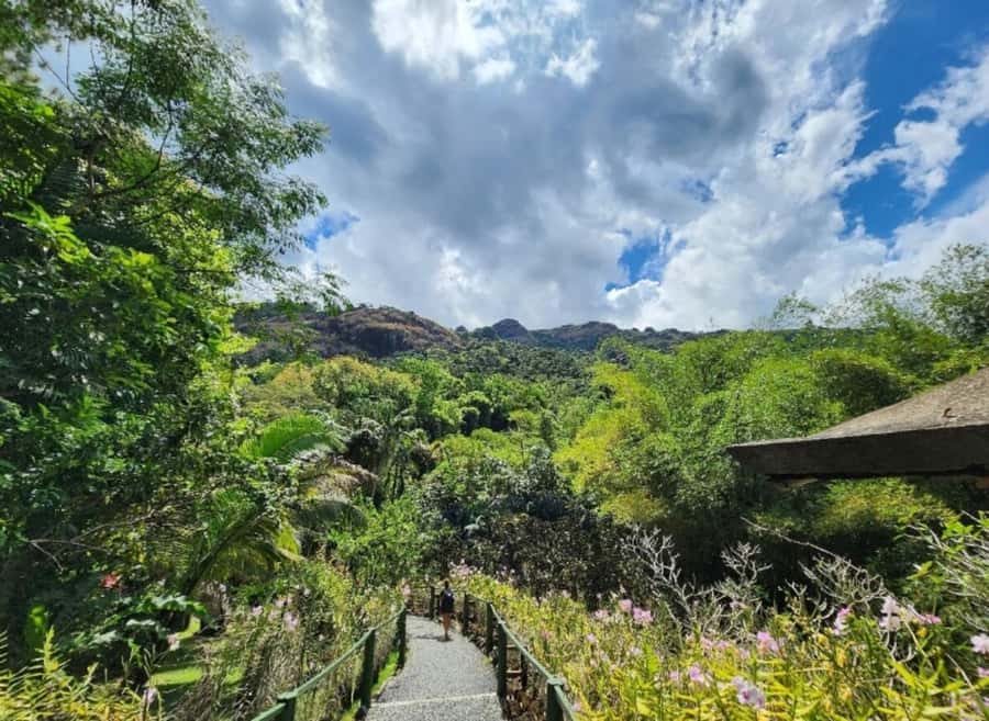 Nadi: Private Tour with Temple, Garden, Markets & Mud Pools - Who will get the most from this tour