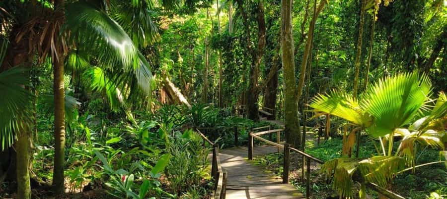 NADI-SABETO: Exquisite Orchid Garden with Hotspring Mudpool - From Nadi hotels to the Garden of the Sleeping Giant