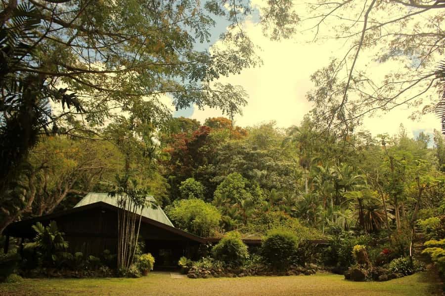 NADI-SABETO: Exquisite Orchid Garden with Hotspring Mudpool - What to pack for a cleaner, easier day