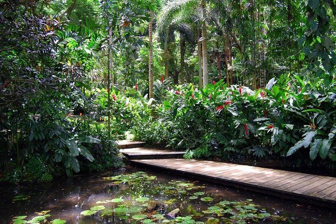Nadi Sightseeing Including Viseisei Lookout, Village Tour, Garden & Temple Tour - What this Nadi sightseeing tour actually covers