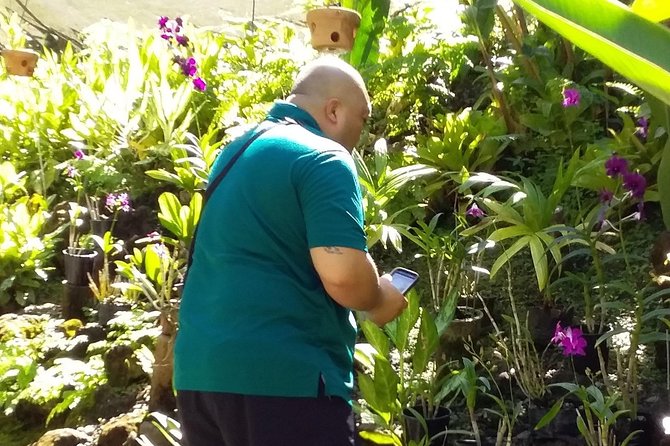 Nadi Sightseeing Including Viseisei Lookout, Village Tour, Garden & Temple Tour - Garden of the Sleeping Giant: the scenic highlight