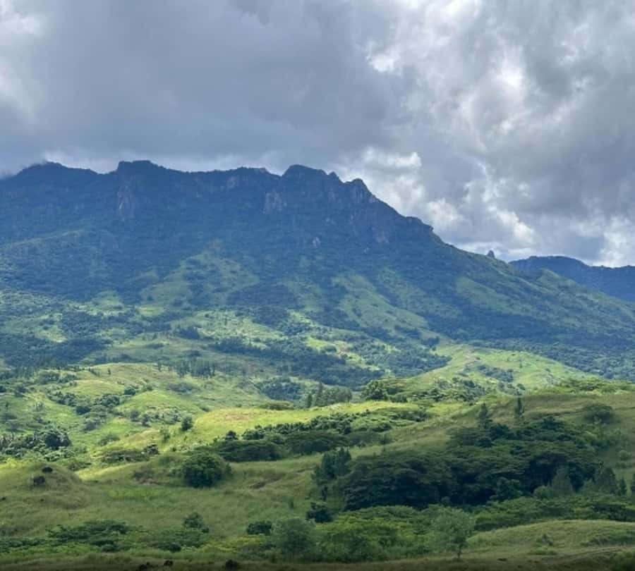 Nadi: Waterfall Tour Adventure with Refreshments and Lunch - Key points to know before you book