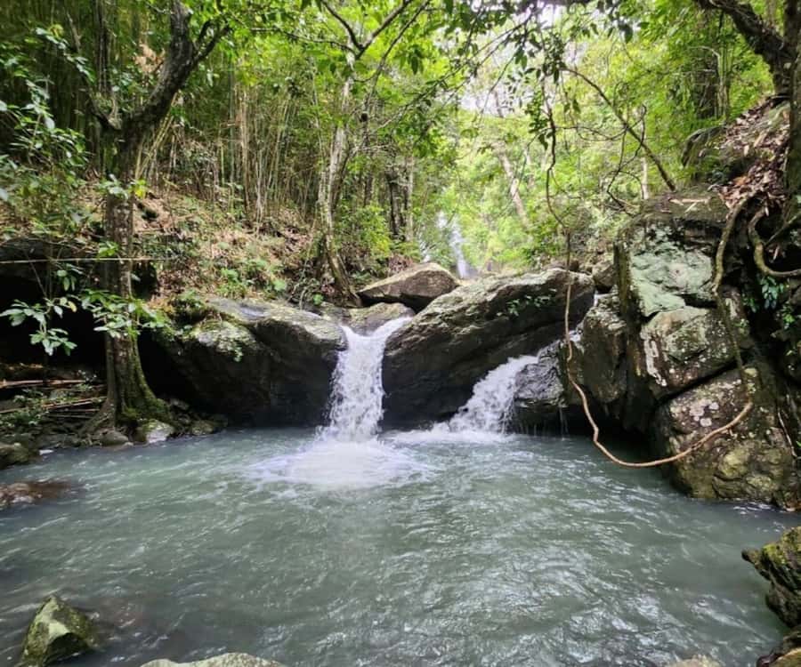 Nadi: Waterfall Tour Adventure with Refreshments and Lunch - Why the waterfall is worth the walk