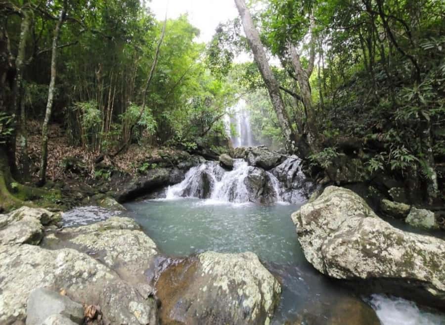 Nadi: Waterfall Tour Adventure with Refreshments and Lunch - Coconut water, a campsite, and a useful pause
