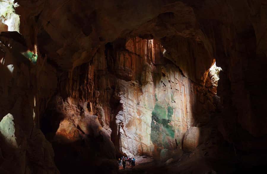 Nadi: Zipline Adventure with Cave Exploration - The first stretch, old-growth vesi trees and upper mountain views