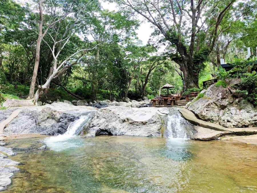 Nadi: Zipline, Waterfalls, and Jungle Safari Tour with Lunch - The guided walk to two jungle waterfalls