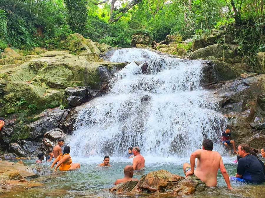 Nadi: Zipline, Waterfalls, and Jungle Safari Tour with Lunch - Is $88 a fair price?