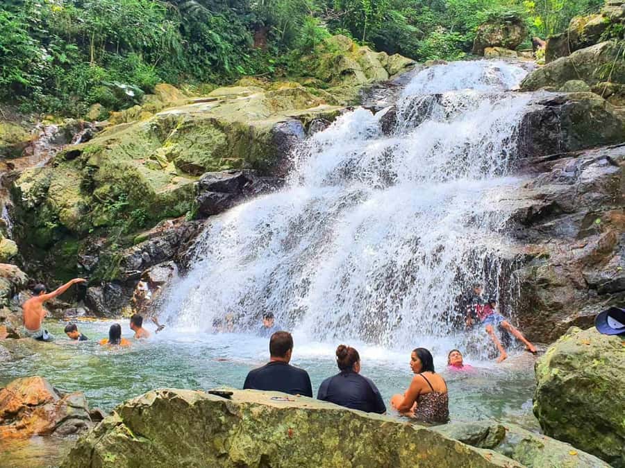 Nadi: Zipline, Waterfalls, and Jungle Safari Tour with Lunch - What the safety briefing means for you