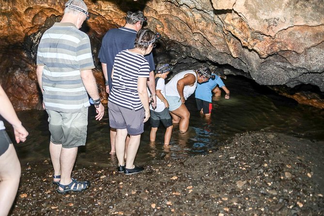 Naihehe Cave Safari in Sigatoka with BBQ Lunch - Entering Naihehe Cave