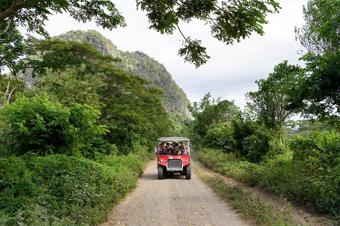 Naihehe Cave Safari in Sigatoka with BBQ Lunch - What the price includes, and what it does not
