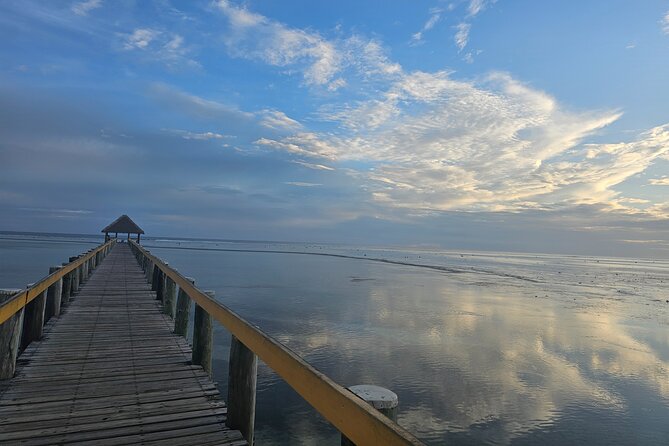 Premier Transfers and Tours Fiji - A calm welcome at Nadi International Airport