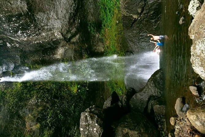 Private Breathtaking Koroyanitu Half Day Waterfall Hike - Who will enjoy this outing most