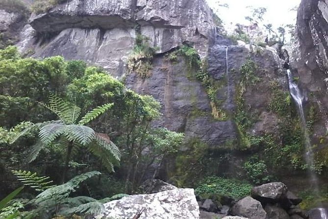 Private Breathtaking Koroyanitu Half Day Waterfall Hike - Walking through Koroyanitu Heritage Park
