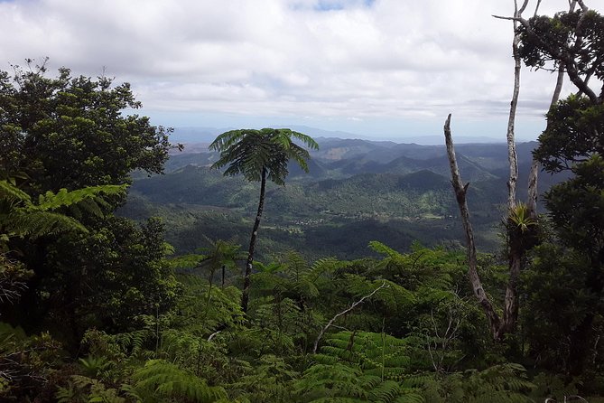Private Breathtaking Mnt Victoria Day Trek - Nadarivatu and the rough mountain road