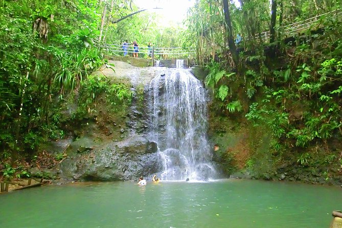 Private Suva Nature and Waterfall Tour - Who should book this Suva waterfall outing?