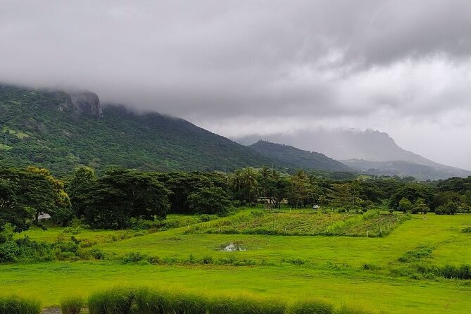 Private Tour: Best of Nadi Highlights - Nadi Produce Markets and the souvenir stop
