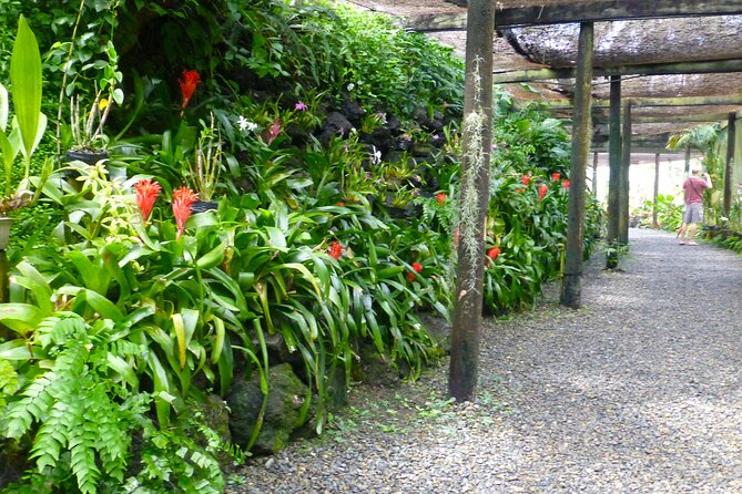 Private Tour: Best of Nadi Highlights - Sabeto Hot Springs and Mud Pool