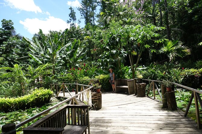 Private Tour: Best of Nadi Highlights - Who should book this experience?