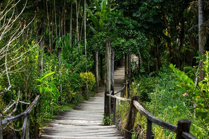 Private Tour: Hot spings & Sleeping Giant Garden hiking Adventure - Why this short Nadi tour works