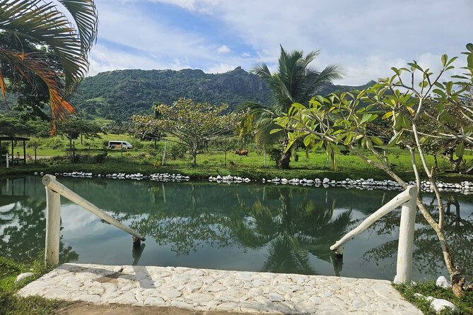 Private Tour: Hot spings & Sleeping Giant Garden hiking Adventure - What the private format really gives you