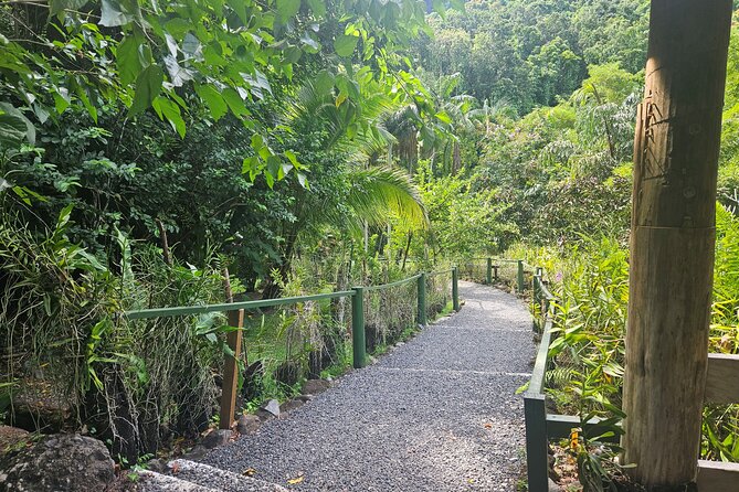 Private Tour: Hot spings & Sleeping Giant Garden hiking Adventure - Timing, clothing, and practical preparation