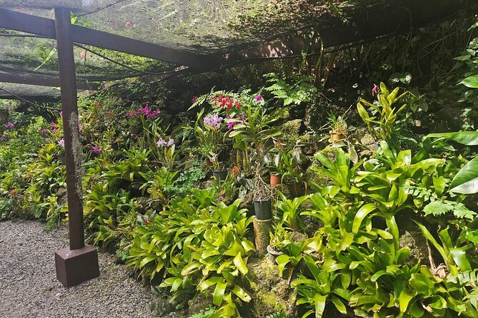 Private Tour: Hot spings & Sleeping Giant Garden hiking Adventure - Who should book this Fiji experience?