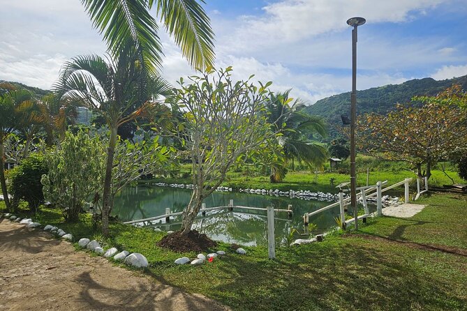 Private Tour: Hot spings & Sleeping Giant Garden hiking Adventure - Final verdict: book it with one important question