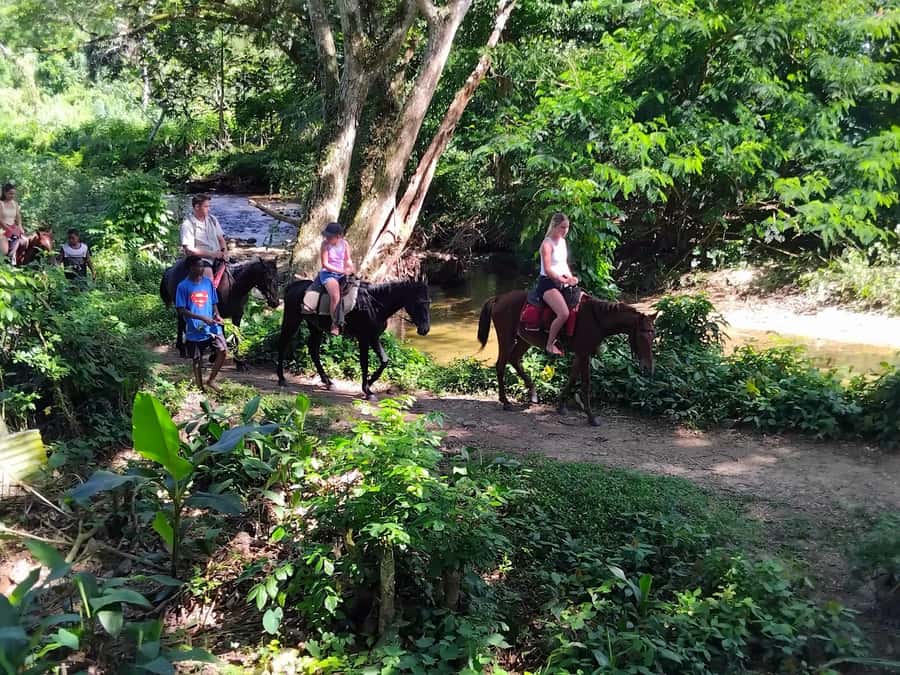 Private Tour: Pacific's Largest Dunes & Famous Waterfall - Local culture, handicrafts, and the lunch stop
