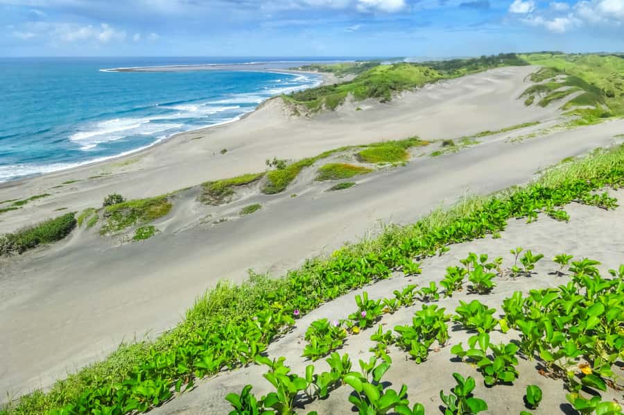 Private Tour: Pacific's Largest Dunes & Famous Waterfall - Who should book this Fiji day tour?