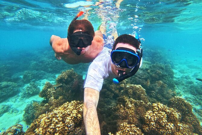 Ride & Slide by South Sea Cats - Half Day Snorkelling Trip - Who will enjoy Ride and Slide most