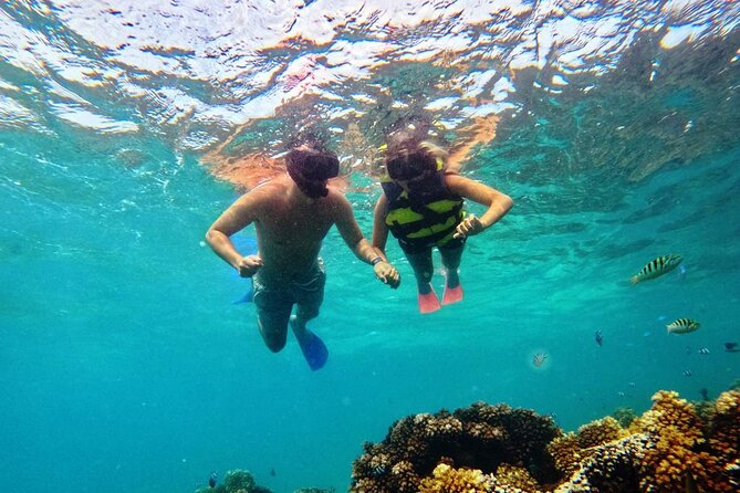 Ride & Slide by South Sea Cats - Half Day Snorkelling Trip - Is the $107.10 price good value?