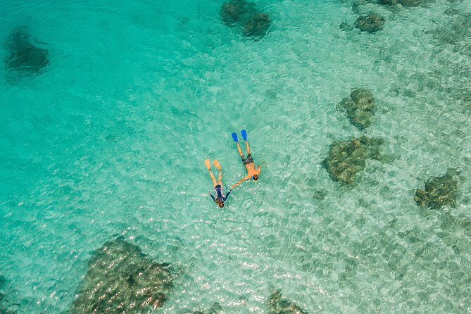 Ride & Slide by South Sea Cats - Half Day Snorkelling Trip - Small practical details that improve the day