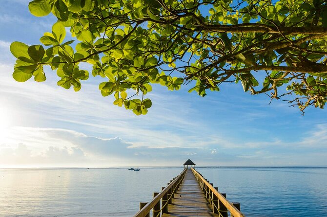Round The Island Day Trip Fiji- Viti Levu - Tailevu Province and the road beyond Suva