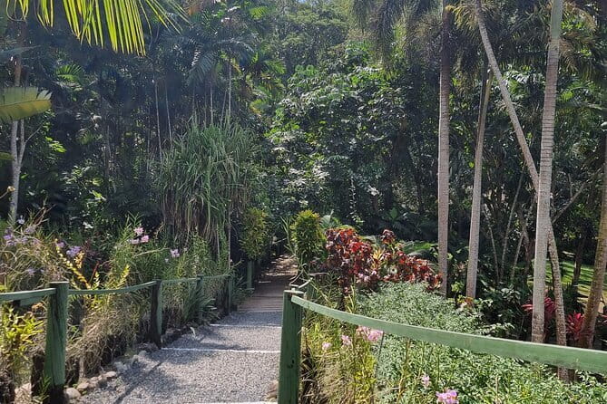 Round The Island Day Trip Fiji- Viti Levu - Is $295.52 a fair price?