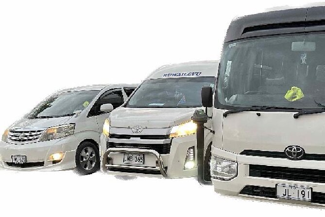 Round Trip Transfer-Nadi Airport to Denarau Island Resorts - How reliable is the pickup?