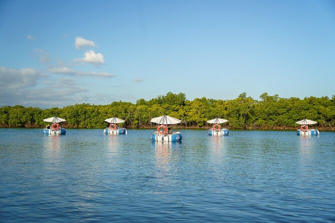 Self Drive BBQ eBoat Cruise with Onboard BBQ Denarau Fiji - A Float Party With Simple Extras