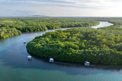 Self Drive BBQ eBoat Cruise with Onboard BBQ Denarau Fiji