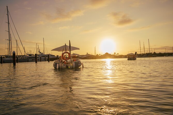 Self Drive BBQ eBoat Cruise with Onboard BBQ Denarau Fiji - Should You Book the BBQ E-Boat?