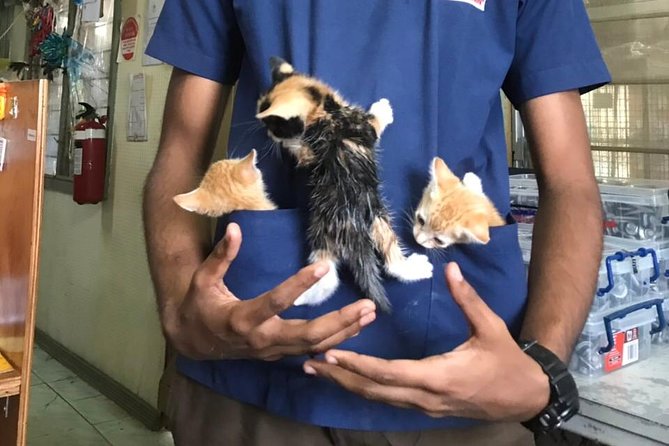 Shelter Visit & Tour - Who will get the most from this experience?