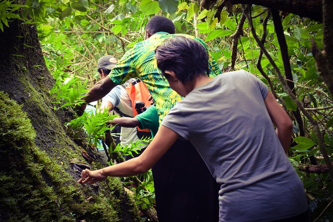 Small Group Hiking Adventure - Hidden Peaks - Plants, traditional medicine, and the value of a local guide